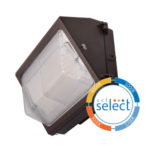 Corvus OWG3 - LED Wallpack
