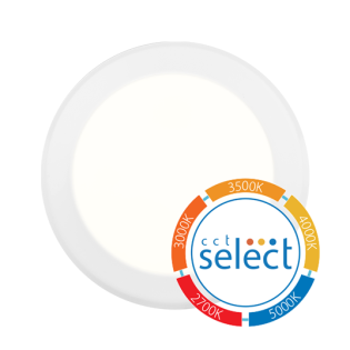 RCD - Low Profile Surface Mount LED Downlight