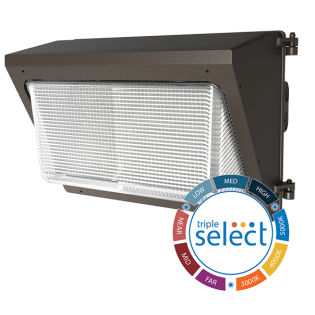 OWG5 - LED Wall Pack